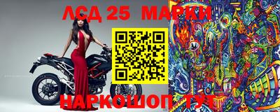apvp Моздок