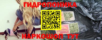 apvp Моздок